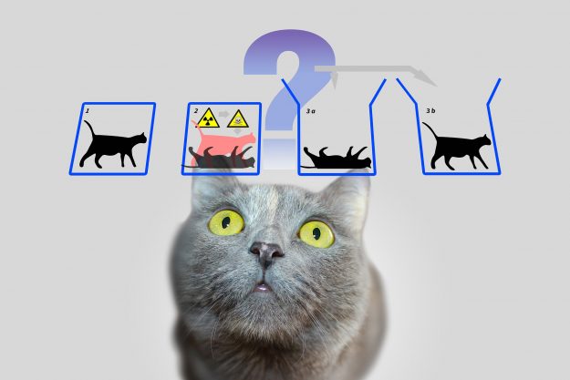 Illustration of Schrödinger’s Cat symbolizing uncertainty in M&A due diligence and integration outcomes — highlighting the risks of ignoring execution planning.