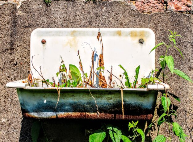 An old, rusted wall-mounted sink filled with dead plants and weeds — symbolising the decay of outdated work habits — for the article If You’re Still Worshipping the 70-Hour Workweek, You Need Carbon Dating.